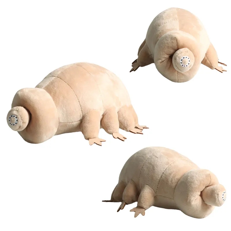 Kids Education Movies - 25 سنتيمتر الدب المياه Tardigrade ألعاب