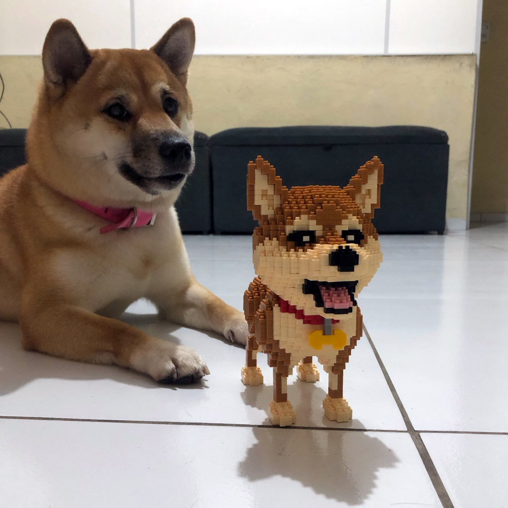 نموذج KNEW BUILT Shiba Inu Dog - مراجعة Kids Education Recreation وسعره